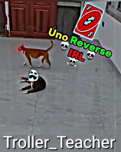 The Cat Fighter..☠️🔥 #edit #trollface #shorts