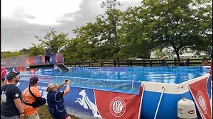 2.4K views · 34 reactions | Too fun!  Last fall, Sounders the Whippet set a record for an incredible 9 ft. vertical jump. | LOCAL 12, WKRC-TV | Facebook