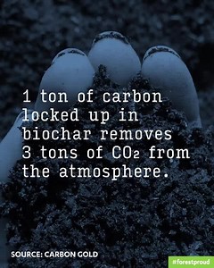 Reposted from @forestproud What the heck is Biochar? And how can it help us fight climate change? We're glad you asked! Biochar is super carbon-rich charcoal that comes from burning organic plant material under just the right conditions (pyrolysis). It creates a unique carbon structure that is packed with nutrients, making it p1erfect for locking away carbon and improving soil health. #themoreyouknow #forestproud #regenerativeagriculture #soilhealth #savesoil #regenerativefarming | Regenerative 