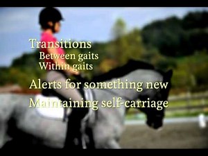 40 Fundamentals of English Riding - Half Halt