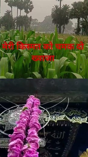 #garibnawazkiqawwali Taqdeer Bana do ya Khwaja #love