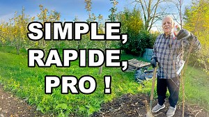 Planter un arbre fruitier étape par étape (ultra simple) 🍎🍐 #jardinage #nature #jardin #astuces #arbres #planter #Taille #fruits #Pommes #poires #peche #conseils #ecologie | Buissonnets