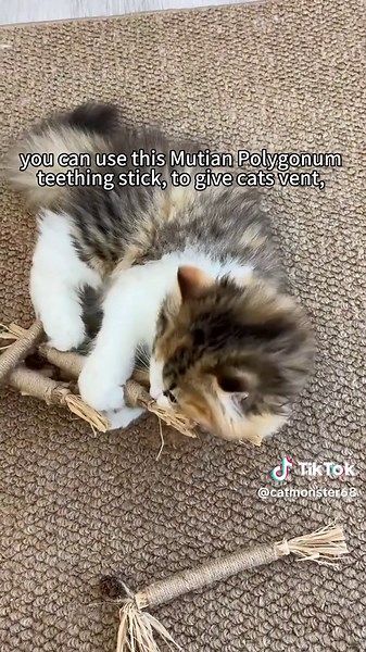 #catsoftiktok #dealsforyoudays #cattoy #pettoys