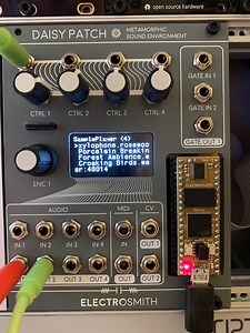 Sample Player for Daisy Patch