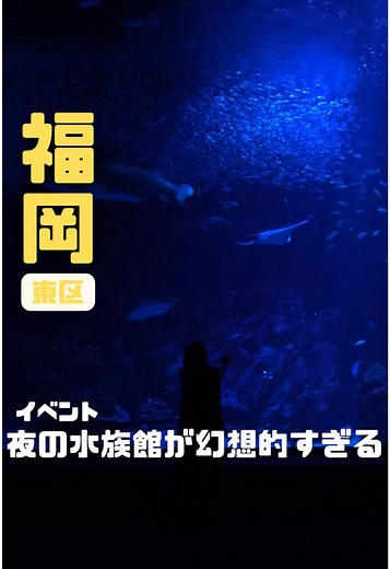 福岡で明日から開催の夜の水族館がエモすぎた…🌃🐬 📍福岡県東区 #マリンワールド海の中道 ※詳細は次の動画に投稿するね✌🏻 #福岡デート #福岡夜景 #夜のすいぞくかん