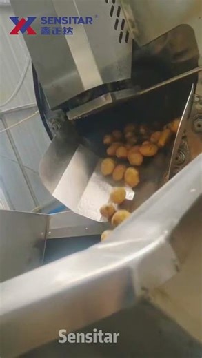 High efficiency steam peeler #machine #food