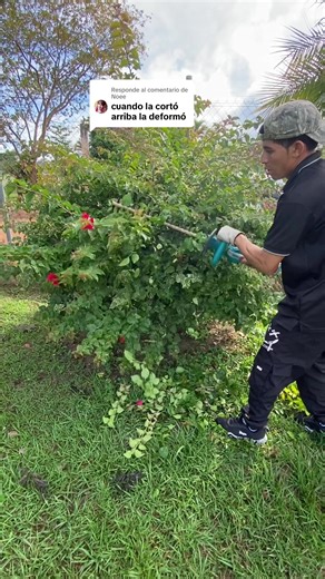 Respuesta al error de Noee