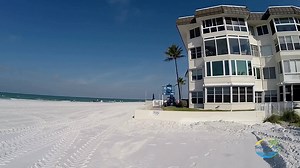 10K views · 406 reactions | I like Lido Key over Siesta Key. I always...