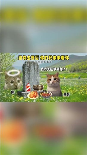 当你去世后，你的好兄弟来看你！#cheems #song #singing