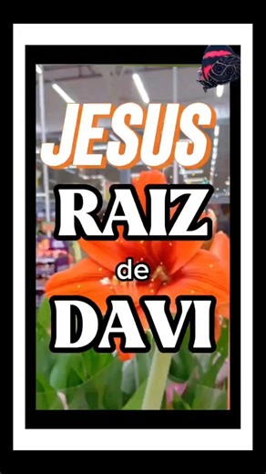 APOCALIPSE 22:1JESUS RAIZ DE DAVI #palavradedeus #deus #gratidão #gratidão #jesus #amor #biblia #fe