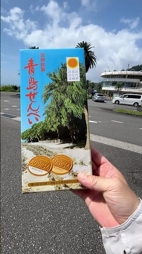 【宮崎観光】🌴 絶景の堀切峠と道の駅フェニックス！定番土産の青島せんべいも紹介 #shorts #ランチ #宮崎観光