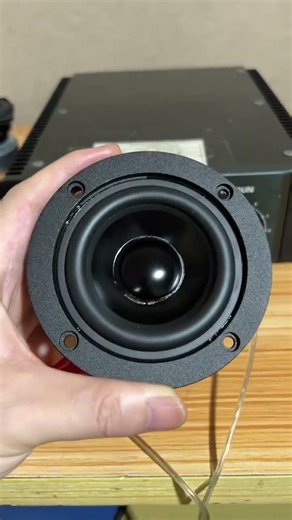 2.5in midrange driver