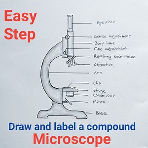Draw and label a compound microscope | Habib Drawing School