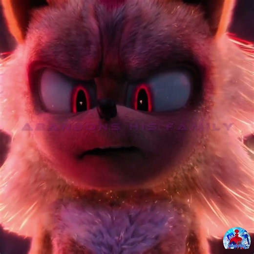 Don’t Talk About Sonic’s Family 😤🔥