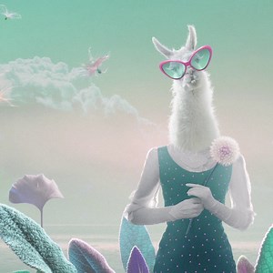 6.3K views · 81 reactions | Need eye-catching marketing videos? Look no further. We got a-llama ready-made templates for you to customize! Try our video maker today 蓮 | Promo.com | Facebook