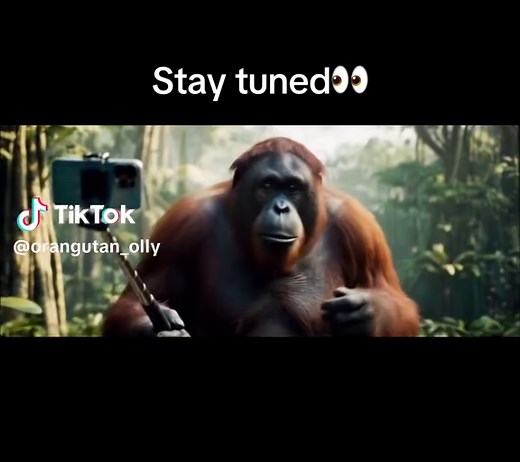 #viral #trending #ai #fyp #foryoupage #ollyorangutan