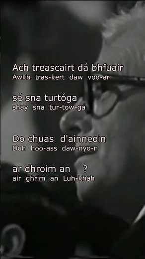 An Poc Ar Buile - v2 || Learn Irish through song