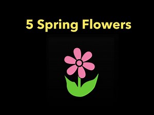 5 Spring Flowers CVI