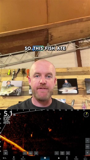 Common Rod Tip Eats with Fly Jigs