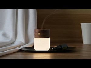 Gingko Smart Diffuser Lamp