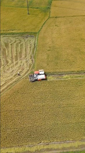 Harvesting Explained 🌾