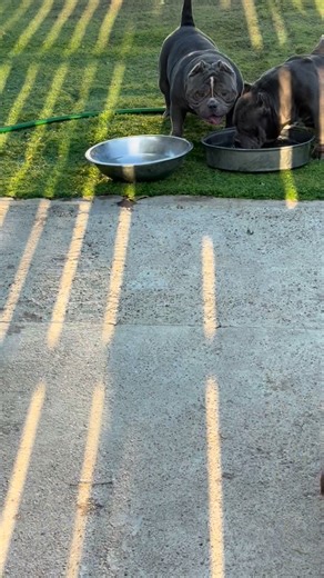 2K reactions · 30 shares | Twb Twbullies on Reels | Facebook