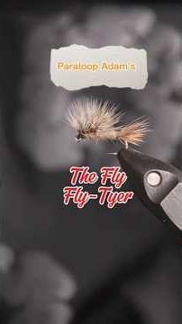 Screaming Adam's Paraloop Fly Pattern! Most effective Dry Fly ever!! #flytying #flyfishing #asmr