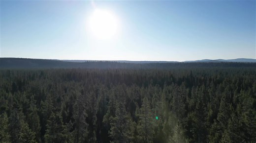 4.5K views · 280 reactions | Good morning sunrise along Highway 97 in Chemult, Oregon with miles of the Umpqua National Forest near Crater Lake. Enjoy the views! | Adventures With Jeff Martinez | Facebook