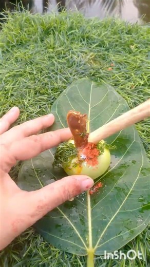 লোভনীয় টমেটো চাট 🍅🤤👌.. subscribe please.. short video।।