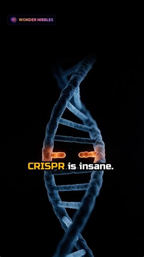 CRISPR Is Insane - Edited Human Embryos