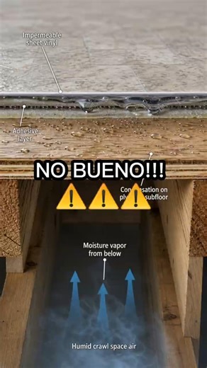 Why Are Your Floors Rotting?! #homeinspector #homeinspection #buildingconstruction