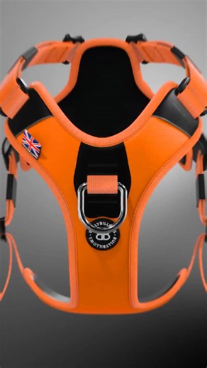 🌪️ The Hurricane Harness : Unleash Strength, Comfort, and Total Control🌪️ ✅ Effortless on and off ✅ Non-restrictive comfort ✅ Stainless steel strength ✅ Ultimate control When it comes to power, precision, and performance, the Hurricane Harness stands in a class of its own. Designed for dogs who love to move and owners who demand the best, this harness redefines what control and comfort should feel like 🐶 Crafted with stainless steel hardware for unmatched durability and reliability, it’s buil