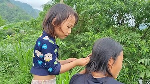 44K views · 804 reactions | Poor three sisters go pick fruit to sell and buy food to cook | Koem Makara | Facebook