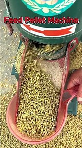 Best Budget Feed Pellet Machine for Small Farms | Real Performance Test#farmequipment #animalfeed