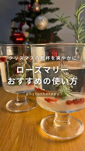 AKI🌿ワンオペでも余裕をつくる植物療法 on Instagram: "今日はアフレコなしで シュワシュワ〜🥂を 聞いてください🎄 ローズマリーが余ったら 乾燥させて取っておくこともできるけど せっかくならフレッシュならではの使い方を。 これはもはや植物療法のもつ力というより ハーブを楽しむ。コレに徹した遊びです🎅 (クコの実を入れてちょっとだけ薬膳🤏) なんでも効果効能、結果、データばかり 追い求めると疲れちゃうから 適度に息抜きしながら 今年1年を振り返る時間のお供に。 作る時間から爽やかな香りを 「自分のために」 ぜひ楽しんでください。 今年はどんな1年でしたか？ ぜひコメントで教えてください🎅"