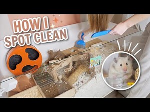 How I spot clean my cages!