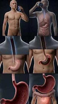 Drinking Soda on an Empty Stomach: Dangerous Effects on Your Body