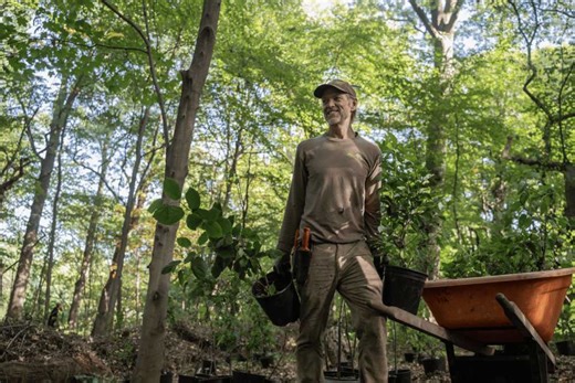 Con Edison’s $22M in Grants Focus on Green Jobs, Climate Resilience, & Environmental Justice | amNewYork