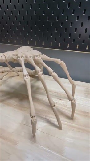 alien face hugger 3d print