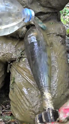 Wooden Box Buried for 80 Years, Still Perfect and Full of Surprises!