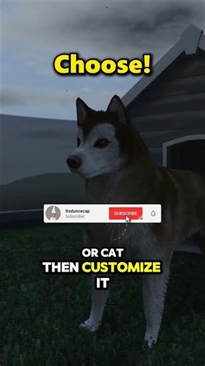 How to Get Pets in GTA Online (Mansions DLC Guide)