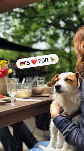 Dogs have been a BIG part of German culture for centuries. What's between Deutschland's love of dogs? 🐶🇩🇪 Via Instagram Meet the Germans #MeetTheGermans | DW Euromaxx