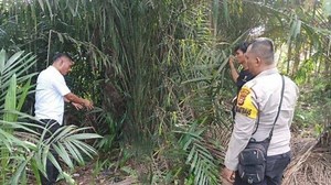 Fakta Viral Siswi SMP Dirudapaksa Ramai-ramai 6 Bocah di Siak, 3 Pelaku Masih SD, Ini Kronologinya - TribunWow.com