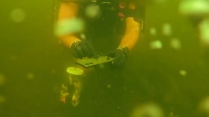 How a routine river dive became a string of unbelievable discoveries