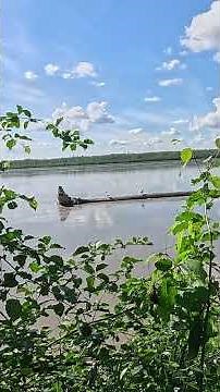 The Hardships of Life on an Alaskan River #alaska #cabinadventure #alaskabush