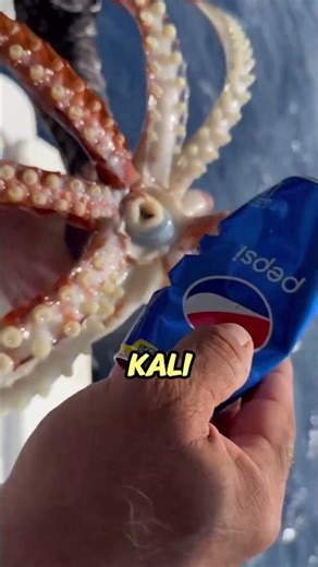 It turns out that squid have very sharp teeth.