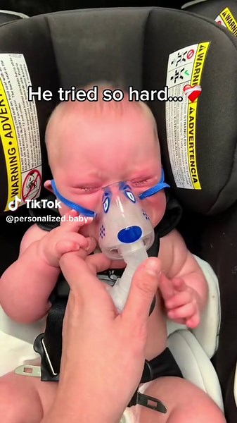 Adorable Baby Mug and Cute Animal Videos