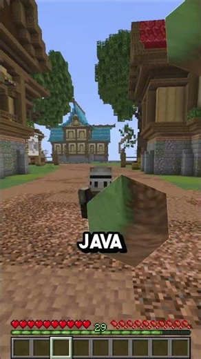 The Minecraft Server of 2026! #minecraft #minecraftserver #bedrock #java