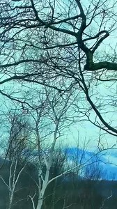 154K views · 12K reactions | David Bowie - Where Are We Now? Where are we now? Where are we now? The moment you know You know, you know As long as there's sun As long as there's sun As long as there's rain As long as there's rain As long as there's fire As long as there's fire As long as there's me As long as there's you #BowieForever #WhereAreWeNow? | Iman | Facebook