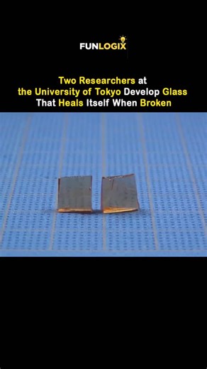 Funlogix on Instagram: "Researchers at the University of Tokyo in Tokyo, Japan have developed a glass-like material that can heal itself after breaking. The breakthrough was made by graduate researcher Yu Yanagisawa under the supervision of Professor Takuzo Aida. Unlike traditional glass, this material is a special polymer that can rejoin cracked or cut surfaces simply by applying light pressure at room temperature, without heat or chemicals. This discovery could have a major impact on future te